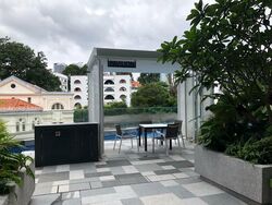 The Rise @ Oxley (D9), Condominium #466394741